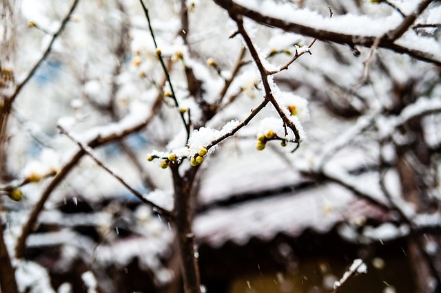 以便在季后
