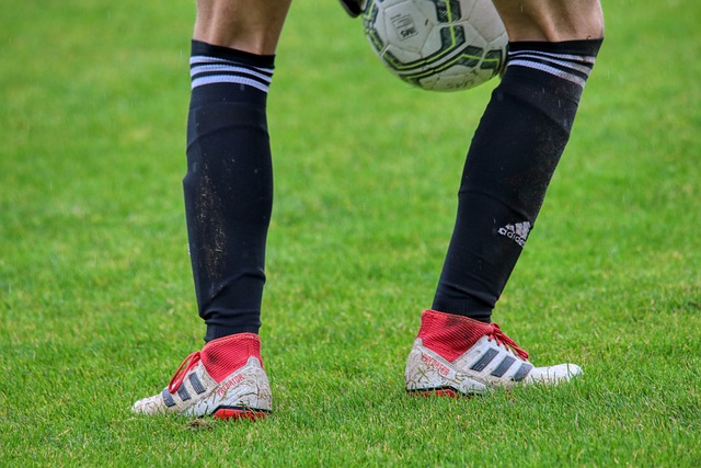 内线的防守 内线的防守