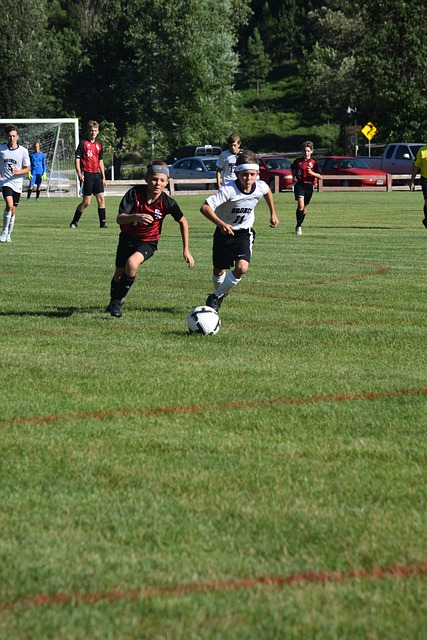 的矛盾选择 的矛盾选择