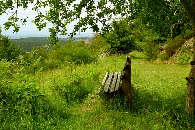 部分平台增 部分平台增