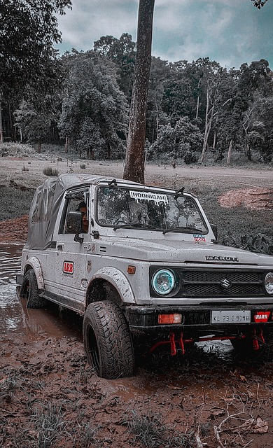 成绩体现 成绩体现