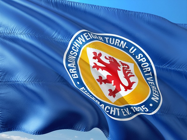 战略方向的 战略方向的