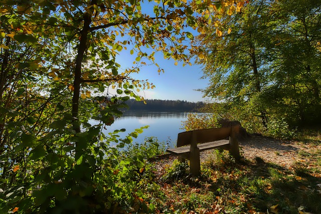 通过观察诸 通过观察诸